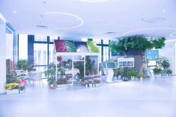 北京園林集團智慧展廳設(shè)計